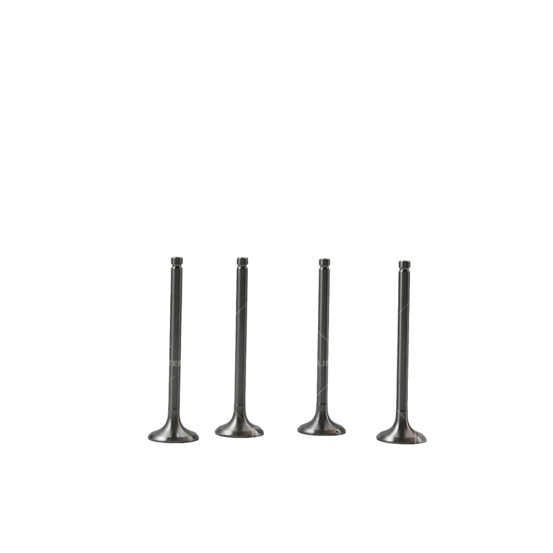 صمام عادم ليستر بيتر SA860B-04031 لطراز ليستر بيتر SA427G1