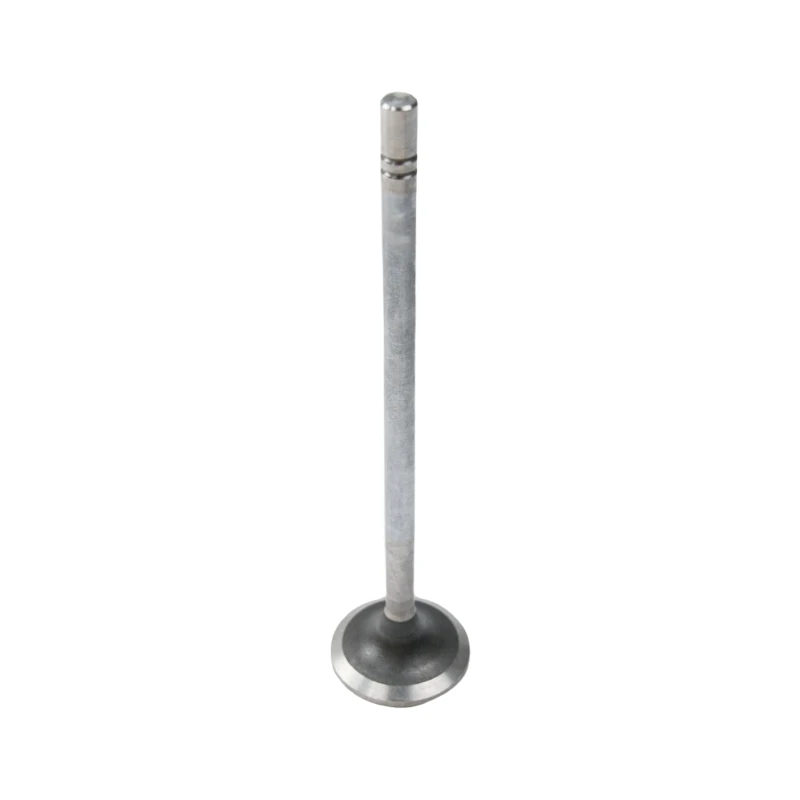 صمام سحب الهواء ليستر بيتر SAA867B-04038 - قطع غيار أصلية SA435G1